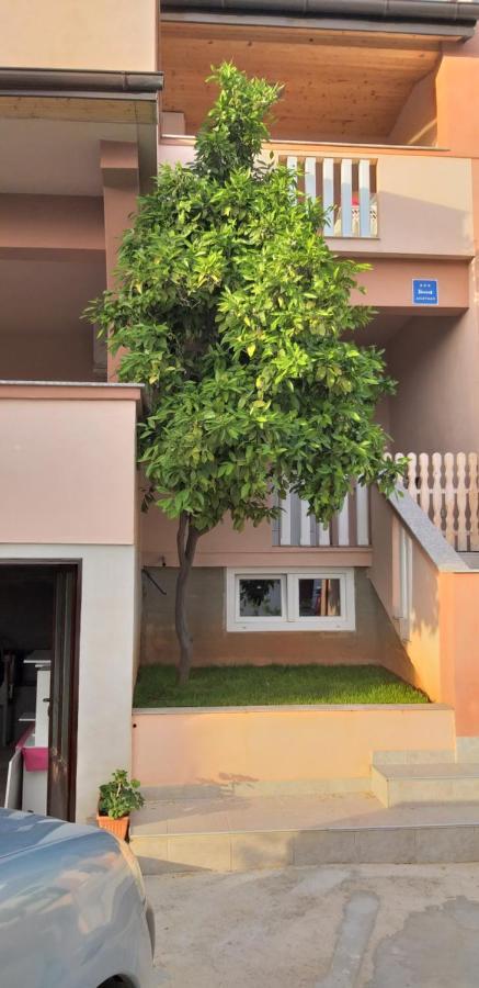 Apartmani Damant Zadar Cameră foto